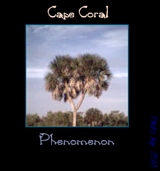 Cape Coral Florida!